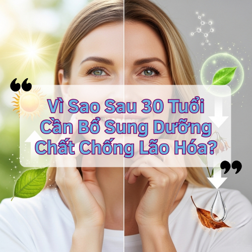 Vì Sao Sau 30 Tuổi Cần Bổ Sung Dưỡng Chất Chống Lão Hóa?